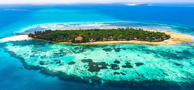 Prison Island giant tortoise tour